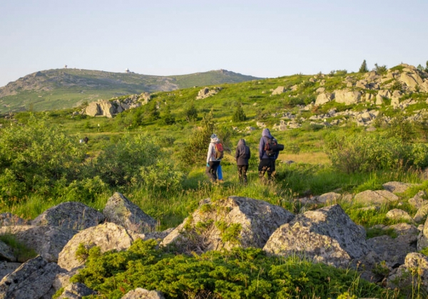 You can once again visit Vitosha and Vrana Park by public transport