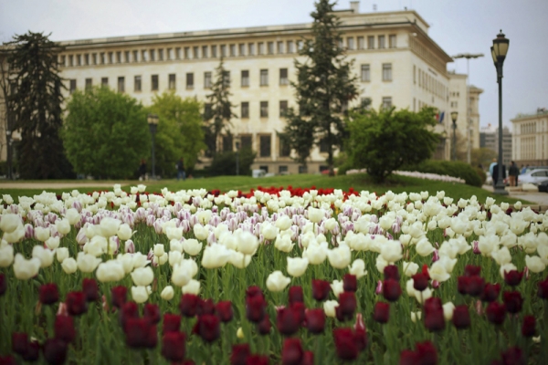 Sofia Once Again Surprises its Residents and Guests