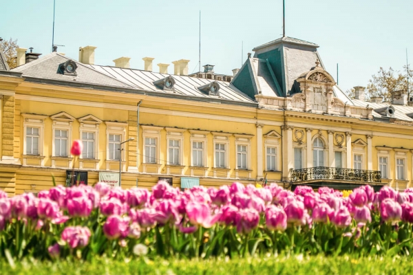 Free admission on May 24